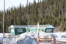 Typical Labrador Trees